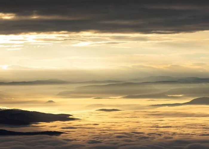 Lejlighed Elite B5 Hill *