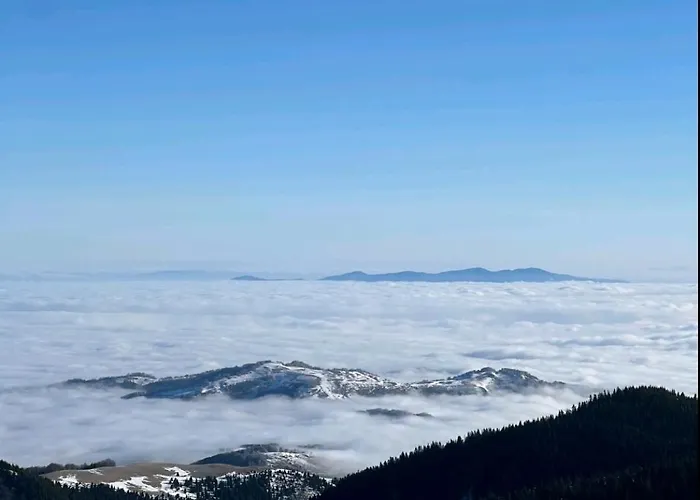 Apartman Elite B5 Hill Kopaonik