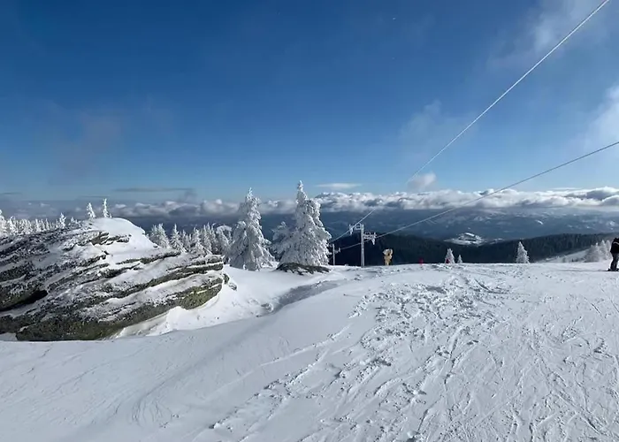 Elite B5 Hill Apartman Kopaonik